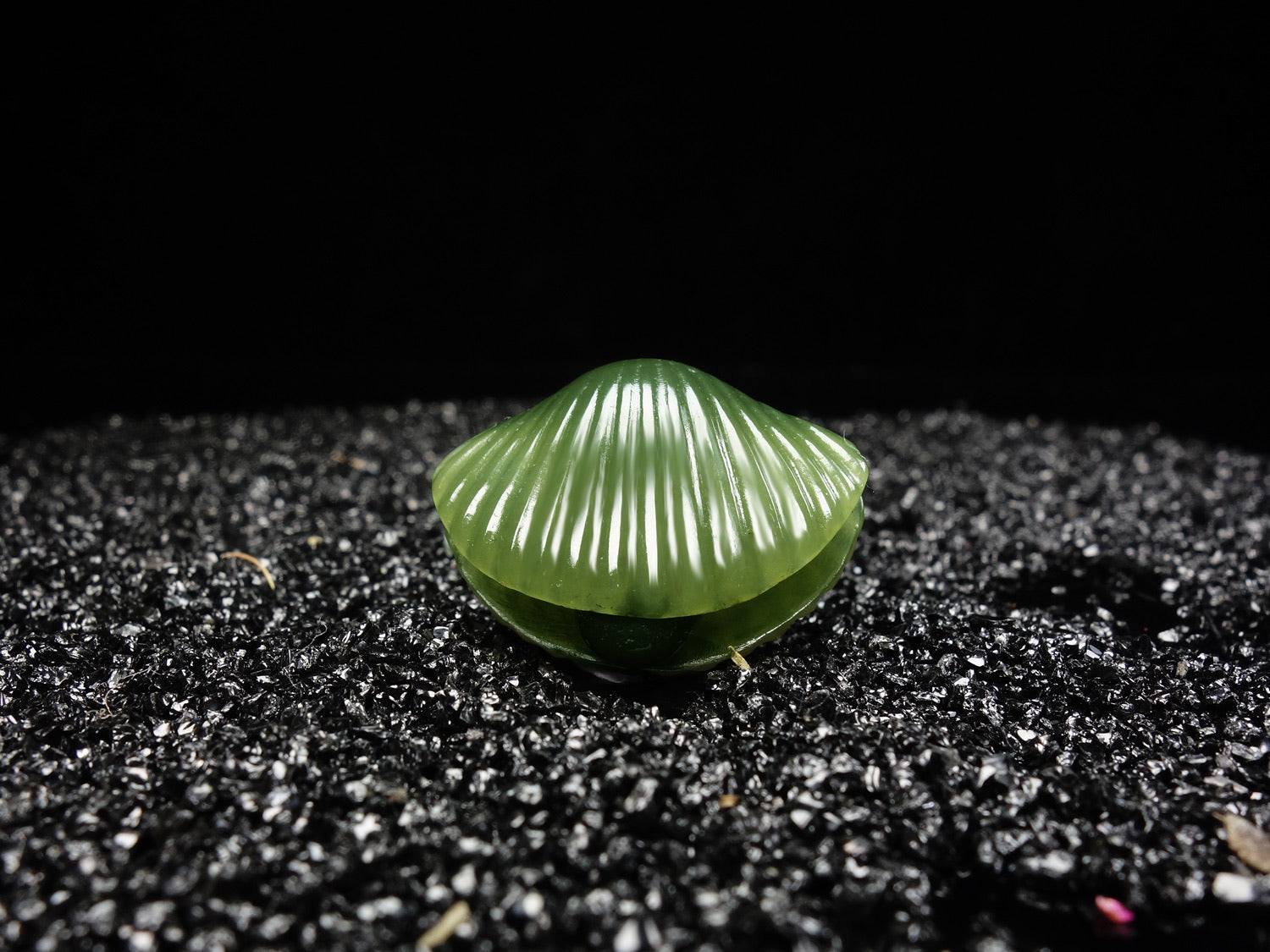 Concha de jade verde con perla